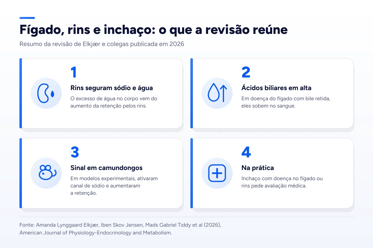Infográfico: Fígado, rins e inchaço: o que a revisão reúne
